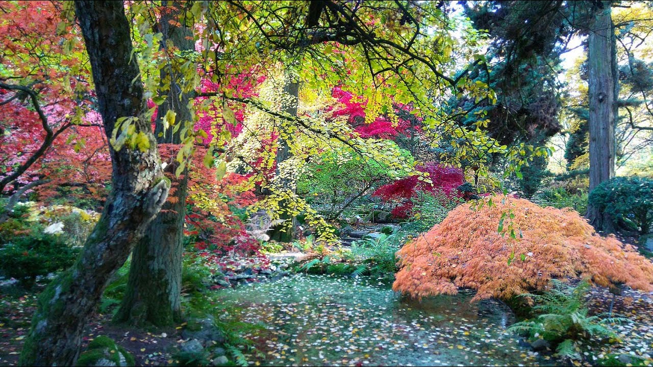 Ogród Japoński w Przelewicach