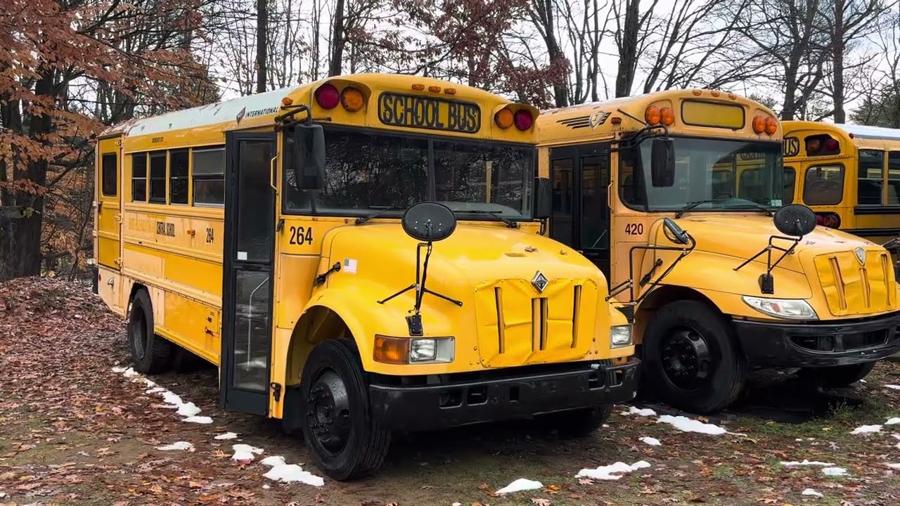 Знакомство с Bus 264 — Международный стартап и обзор IC 2003 года
