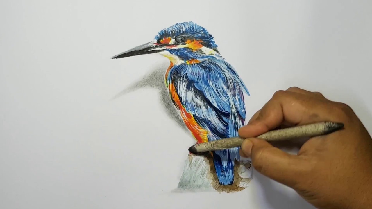 How to draw birds by Pritam Saha