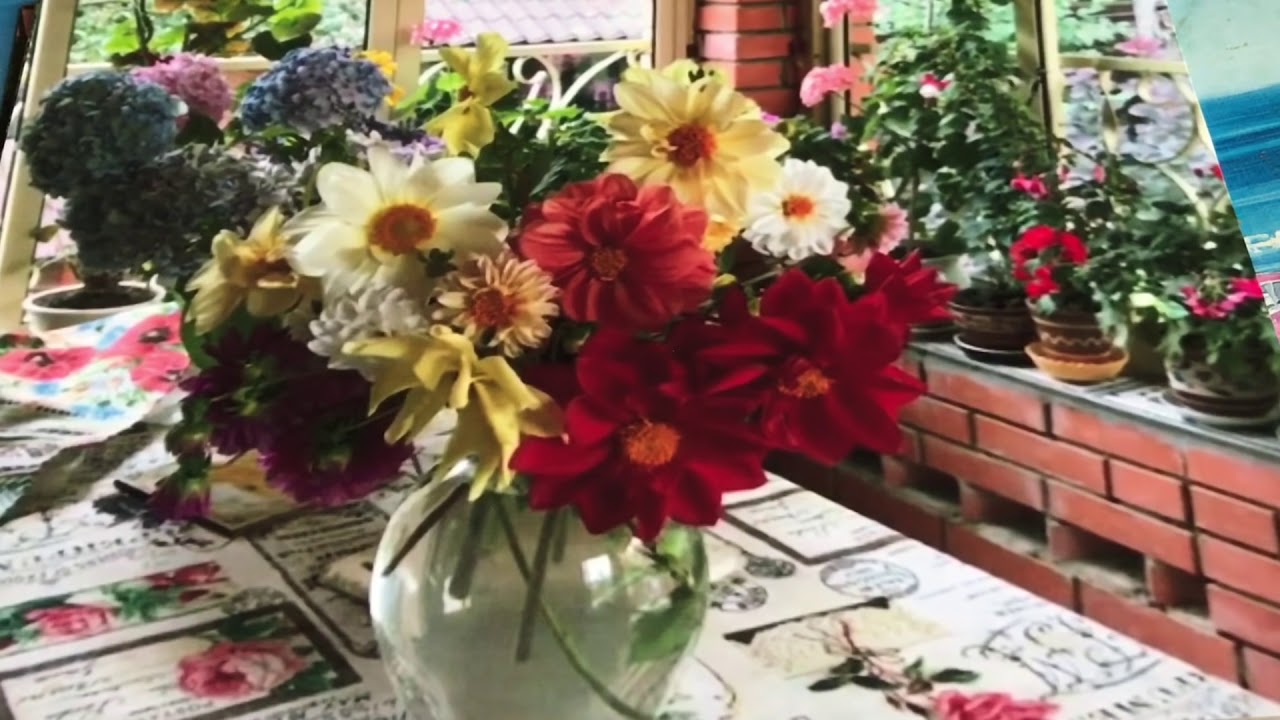 Аферисты в нашей жизни. Продолжение моей истории