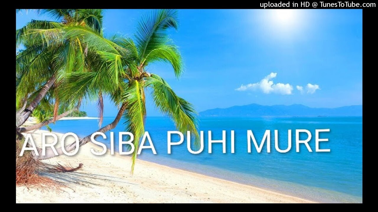 ARO SIBA PUHI MURE SIKAPU X [NODILA PRODUCTION]2K26