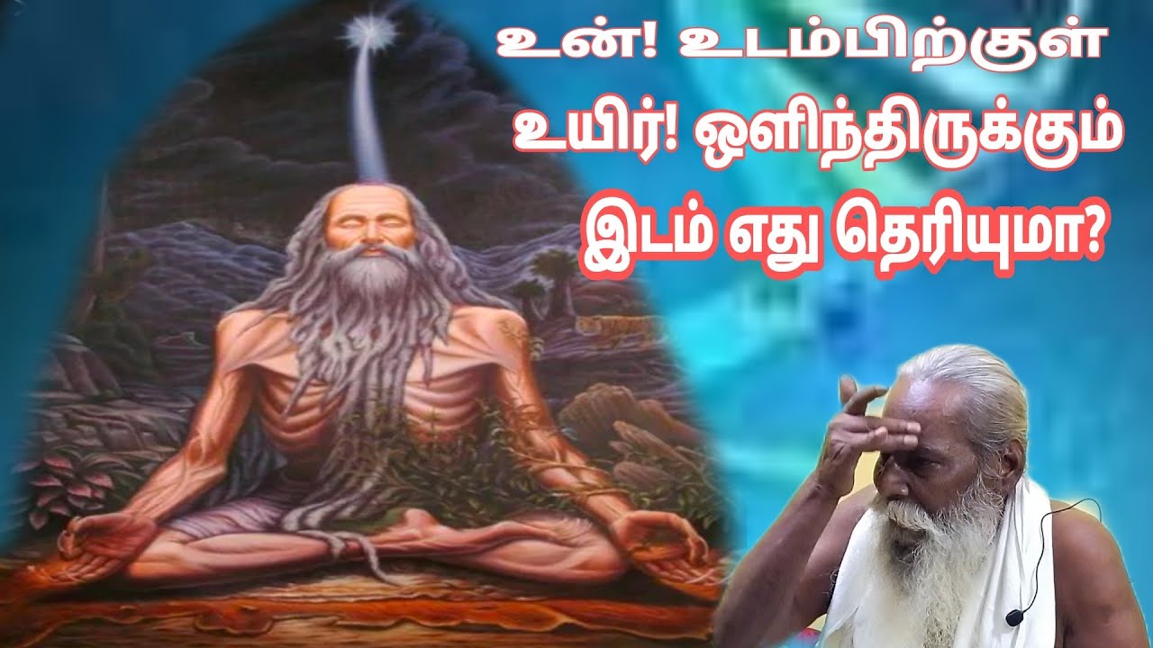 உன்! உடம்பிற்குள் உயிர்! ஒளிந்திருக்கும் இடம் எது தெரியுமா?