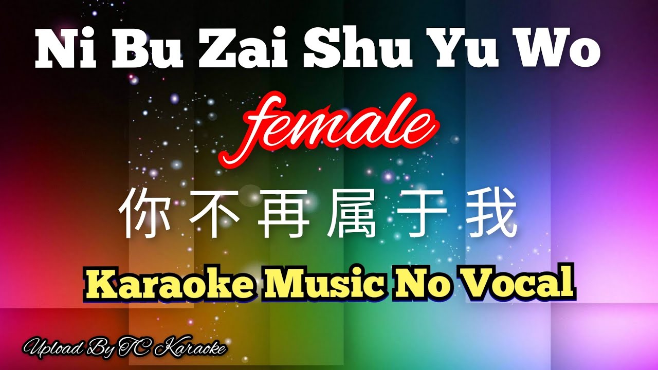Ni Bu Zai Shu Yu Wo _female 你不再属于我 karaoke no vocal