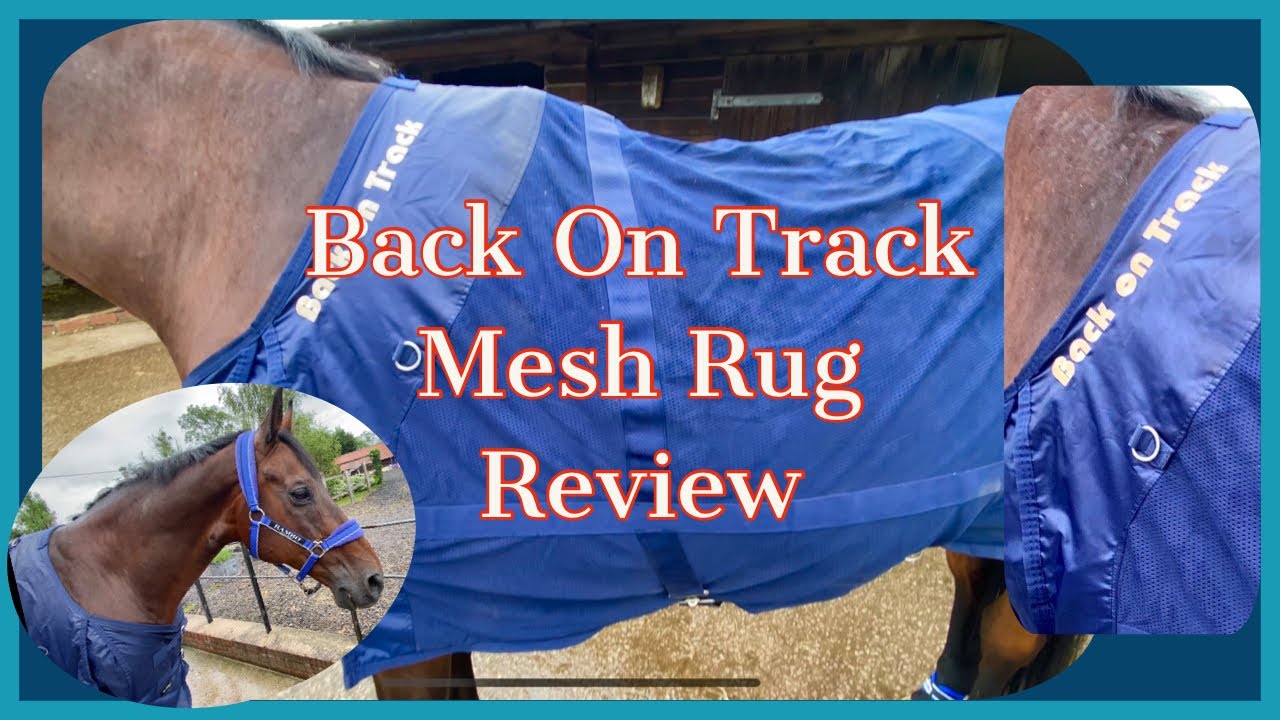 BACK ON TRACK MESH THERAPY RUG REVIEW | Equestrian