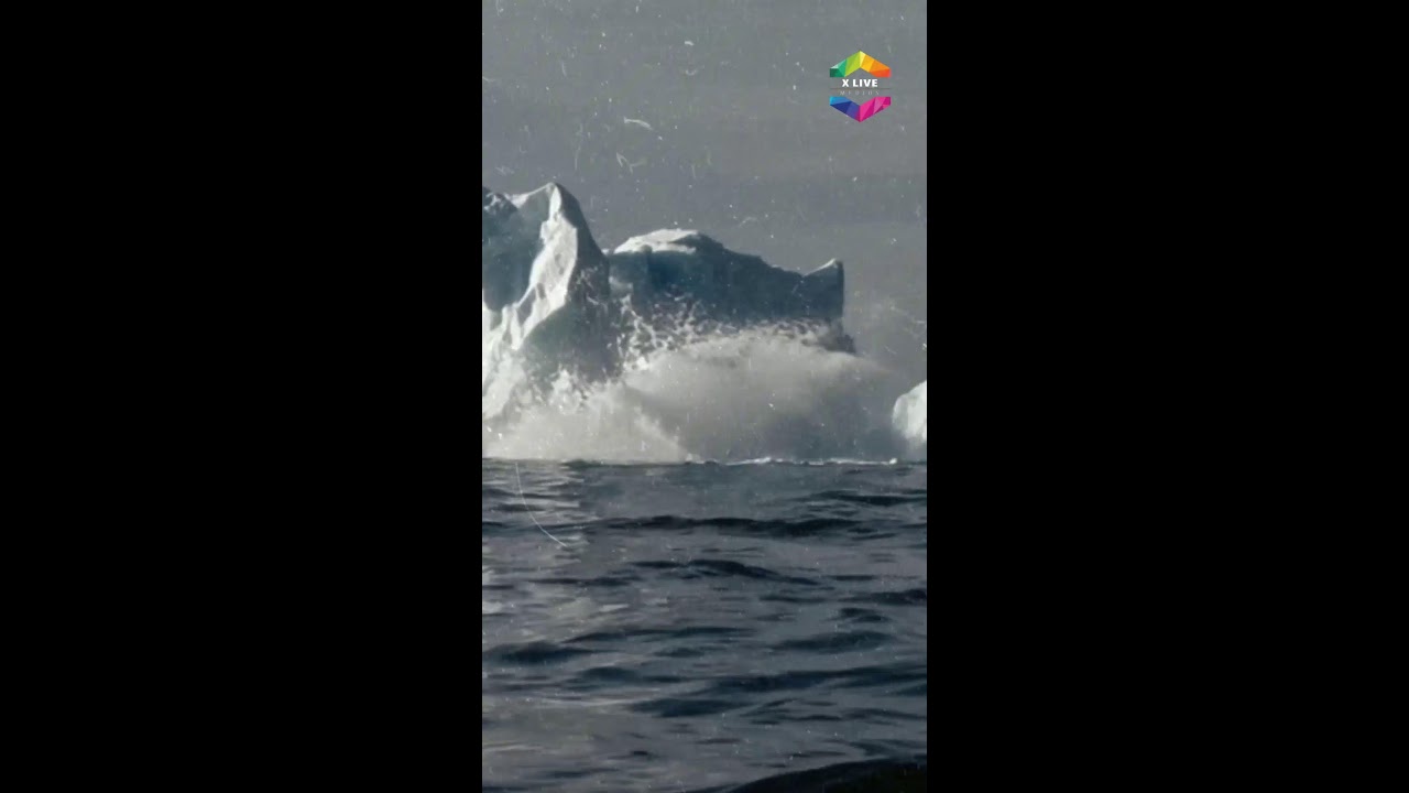 Con Las Estrellas: After Polyester 📱