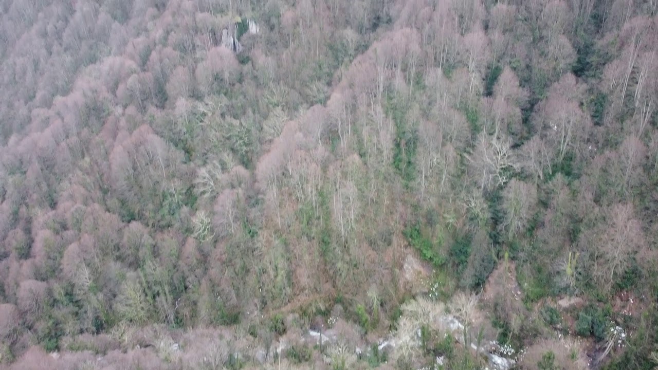 Bir dakikalık huzur Maşukiye Cam Teras DRONE