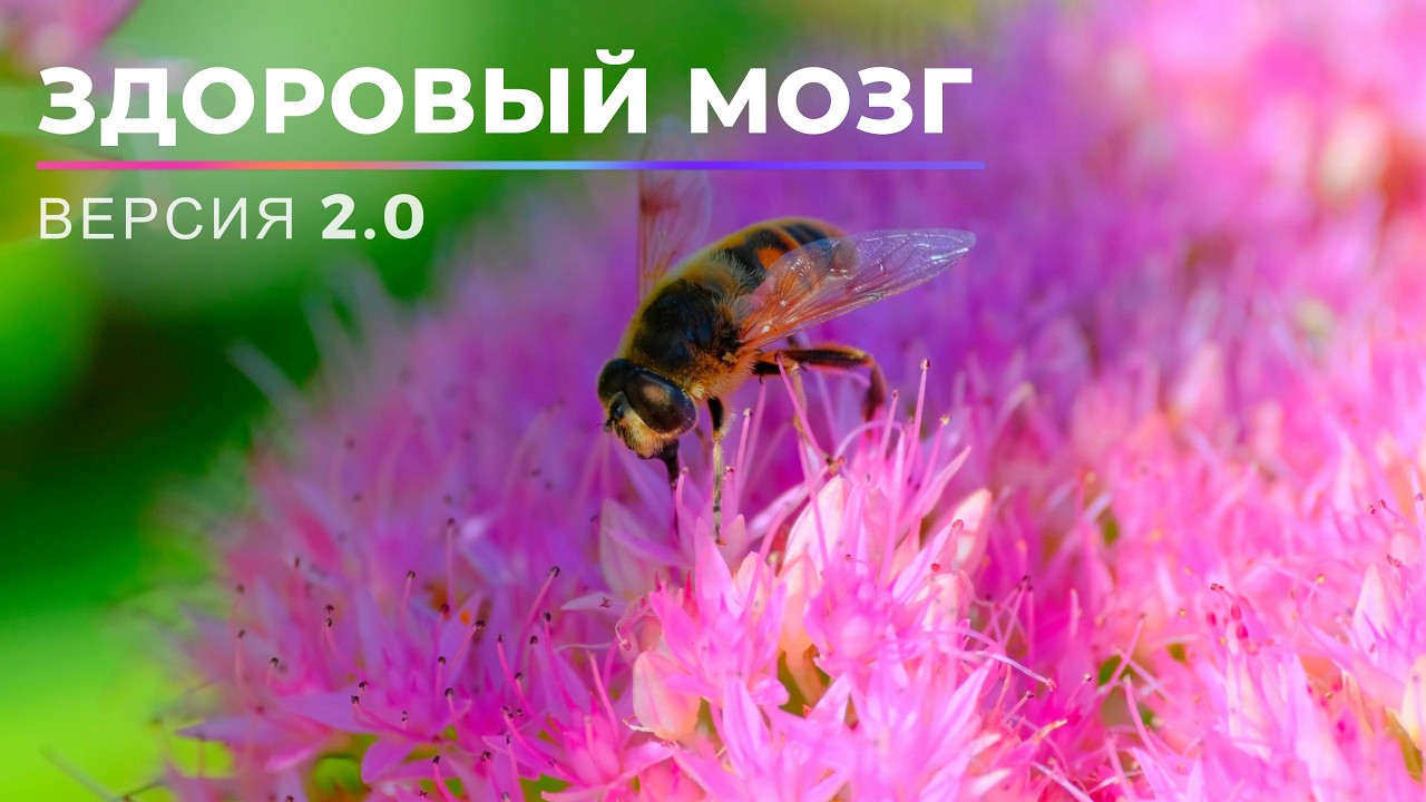 Здоровый Мозг & Идеальная Память. ВЕРСИЯ 2.0 [NEW]. Новый саблиминал. Скрытые аффирмации.