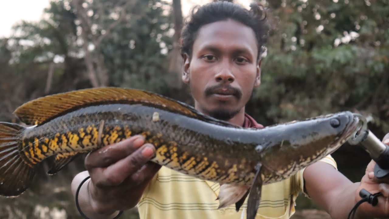 New Location का मराल की साईज लाजवाब है। Shnakhad Fishing 🎣🎣 Super Sayij Fish 🐟🐟🐠