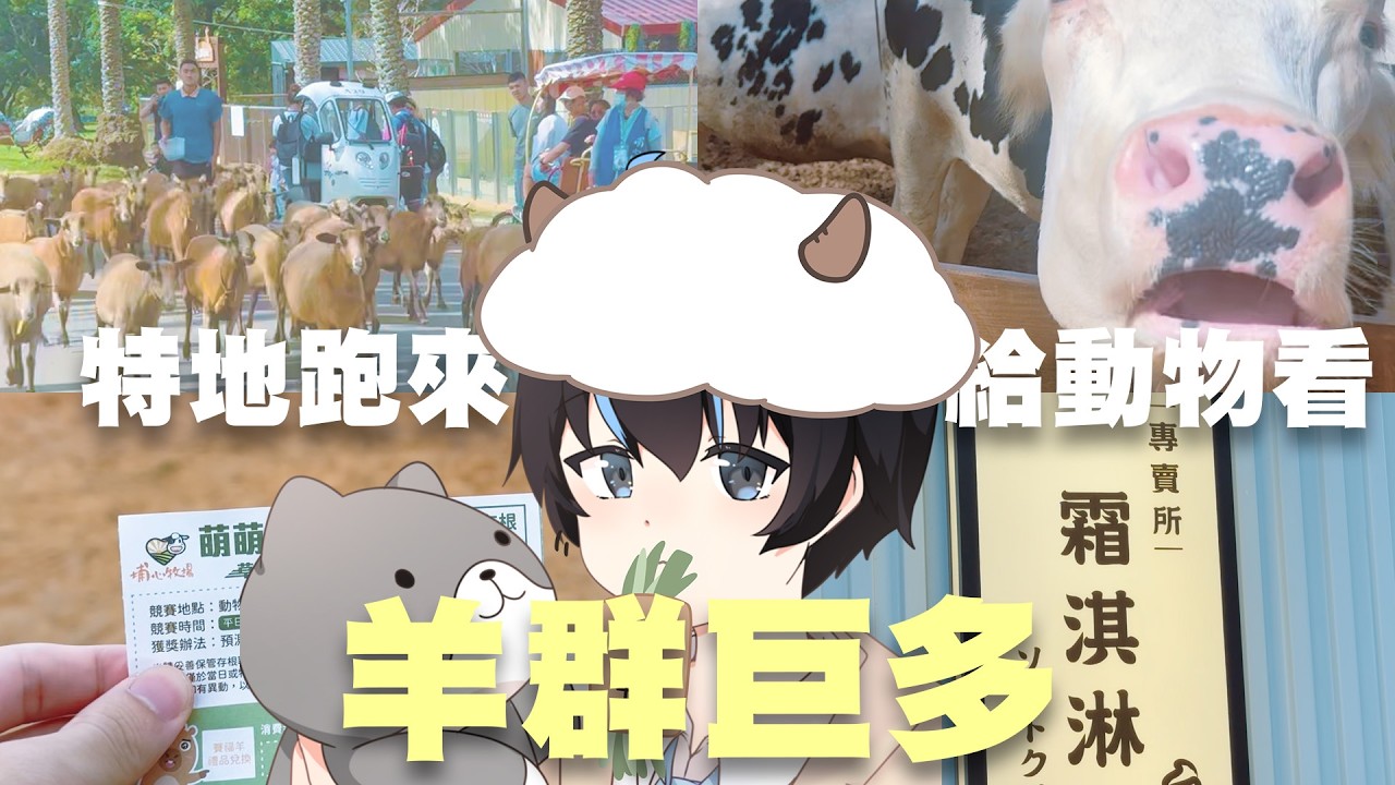 300元的門票，玩埔心牧場值得嗎?超多羊!!!還有各種動物show可以看