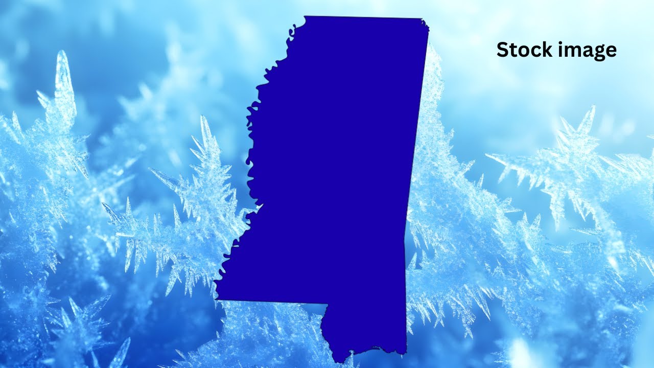 Lauderdale County Stays Indoors as Ice and Cold Grip Region