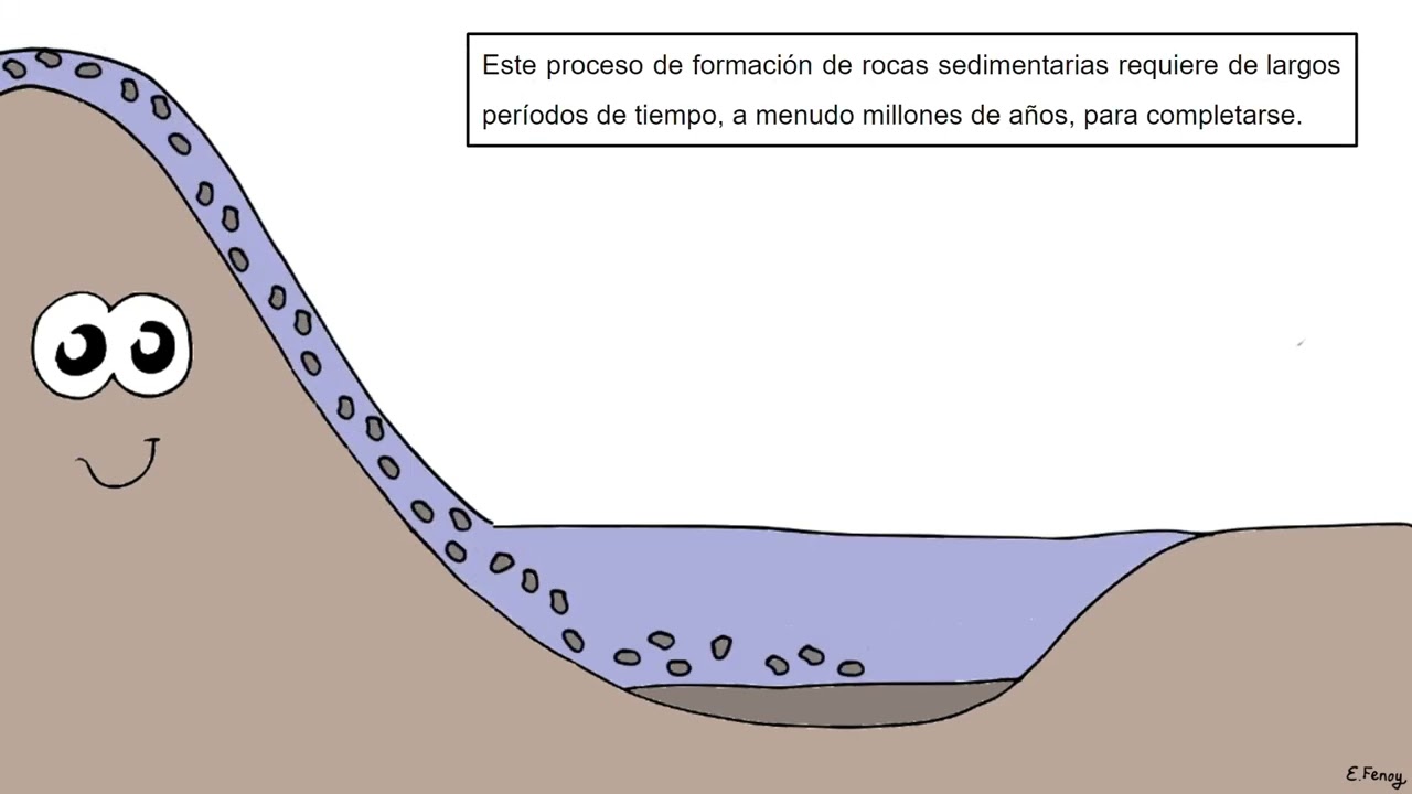 FORMACI&Oacute;N DE ROCAS SEDIMENTARIAS DETR&Iacute;TICAS Y SUS PRINCIPALES GRUPOS: RUDITAS, ARENISCAS Y LUTITAS.