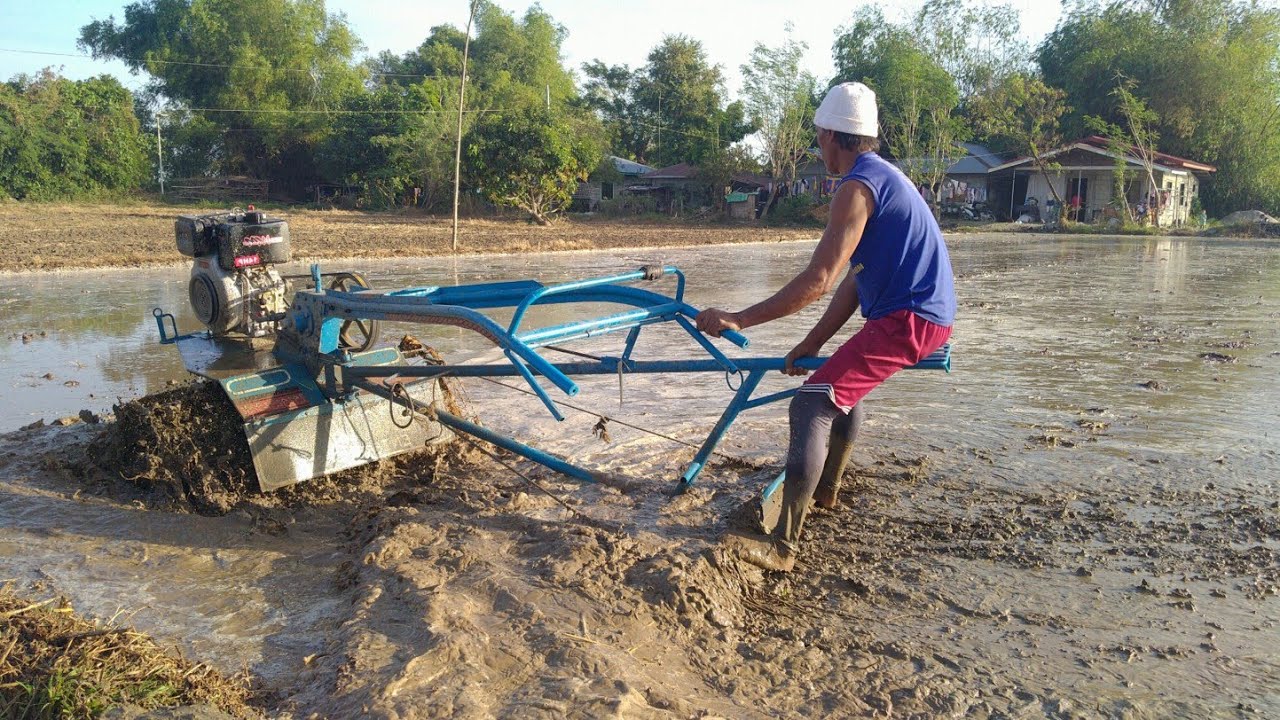 Philippine Farming // Kuliglig with floater #aircooled #weima #kuliglig
