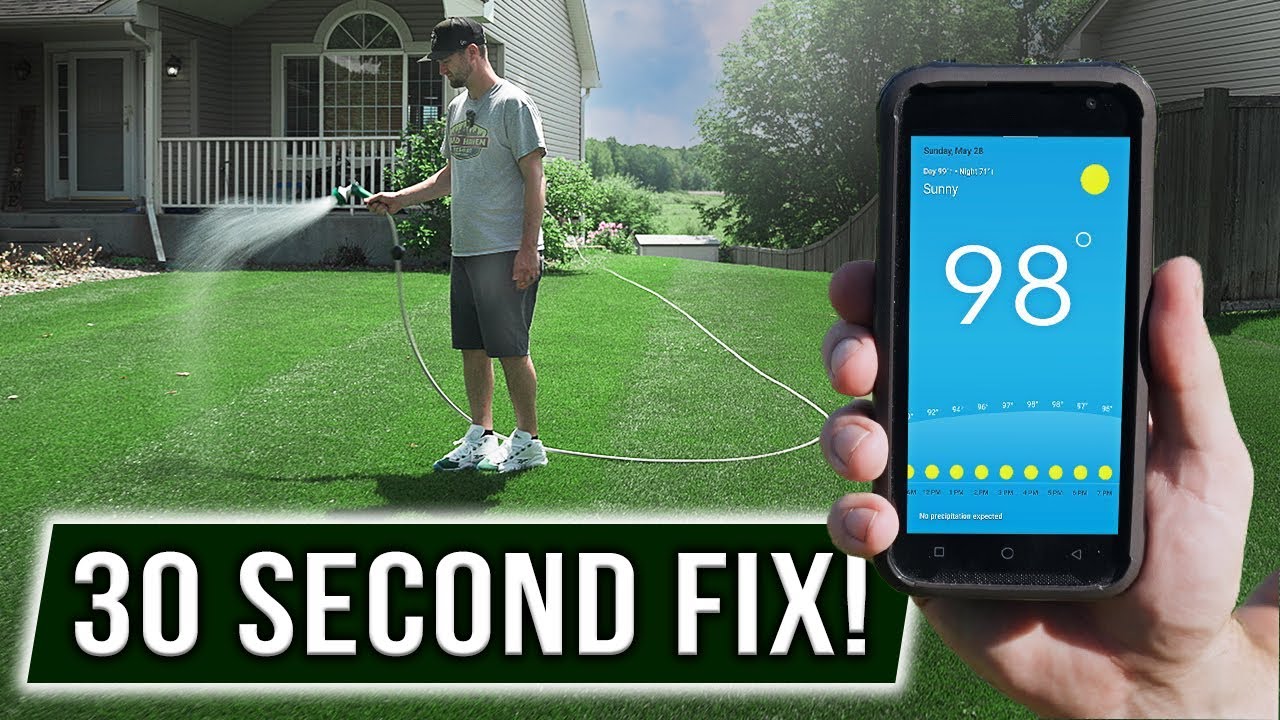 Syringing: The Lawn Trick Nobody Talks About!
