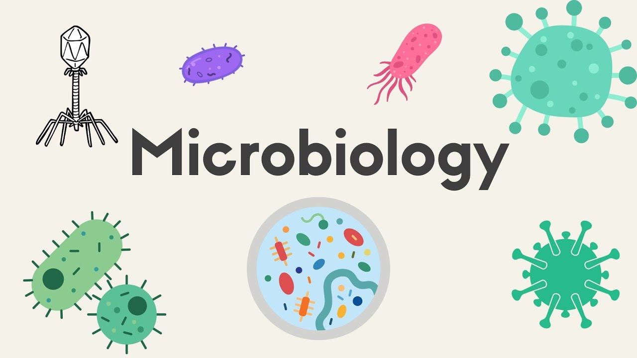 Effect of oxygen on Bacterial Growth