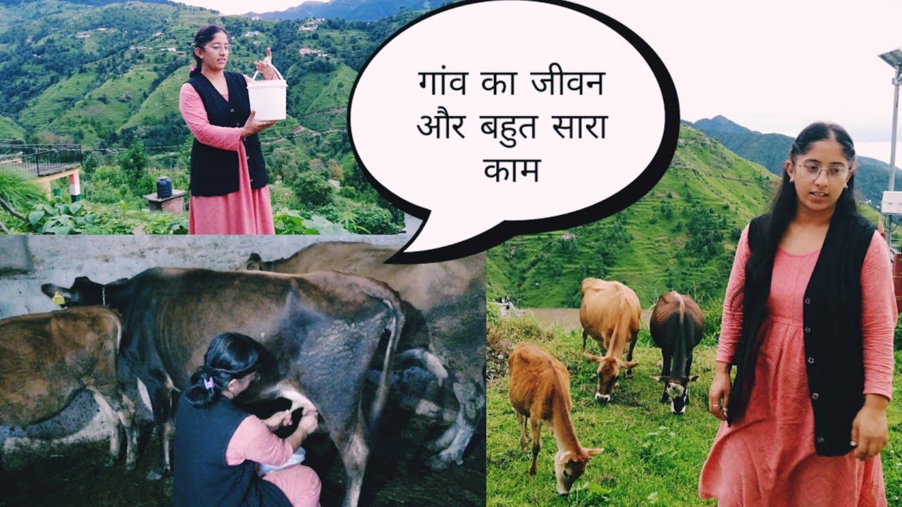 Pahado Main Gaon Ka Evening Routine || Cow Milking By Hand || Pahadi Lifestyle Vlog || Village Vlog