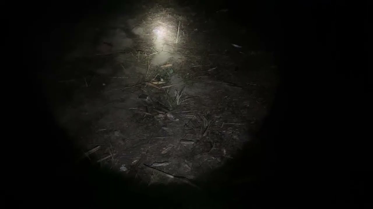 Vartek Khaw pawn fiahna /A va rapthlak ve ghost hunting