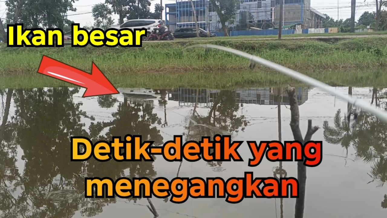 Detik detik terakhir yang menegangkan‼️Berkali kali umpan disambar ikan besar | Solo Fishing