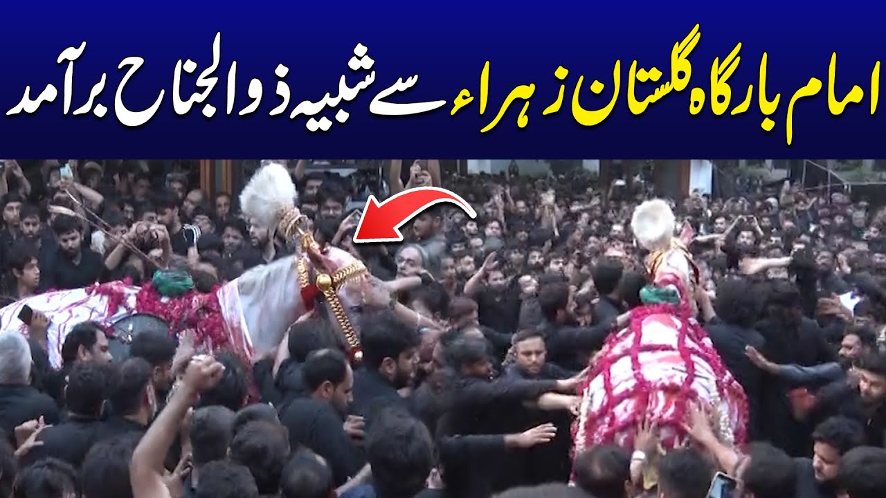 Shabih e Zuljinah Jaloos | Imam Bargah Gulistan E Zehra - 8th Muharram 2025 | City 42