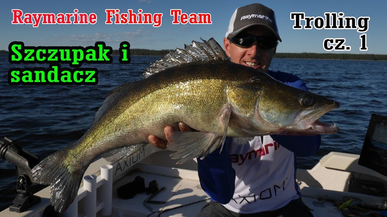 Jak łowić naTrolling cz.1 | WIELKI Szczupak i Sandacz na trolling | Porady-sposoby Raymarine Axiom