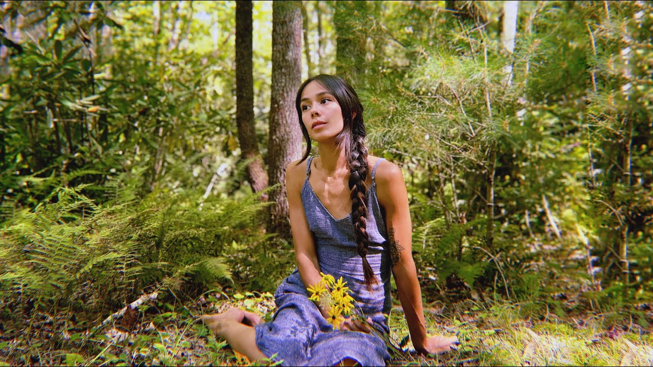 peaceful summer campfire in the forest · vanlife updates · #45