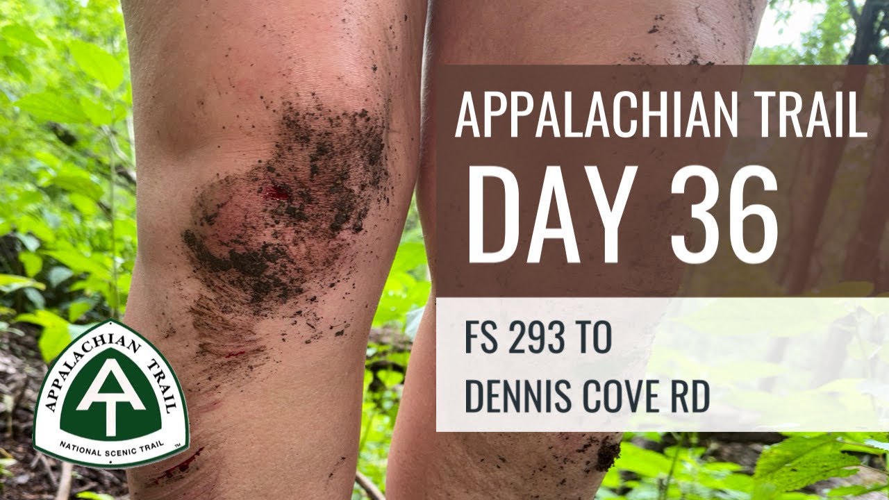 Appalachian Trail Day 36: FS 293 to Dennis Cove Rd