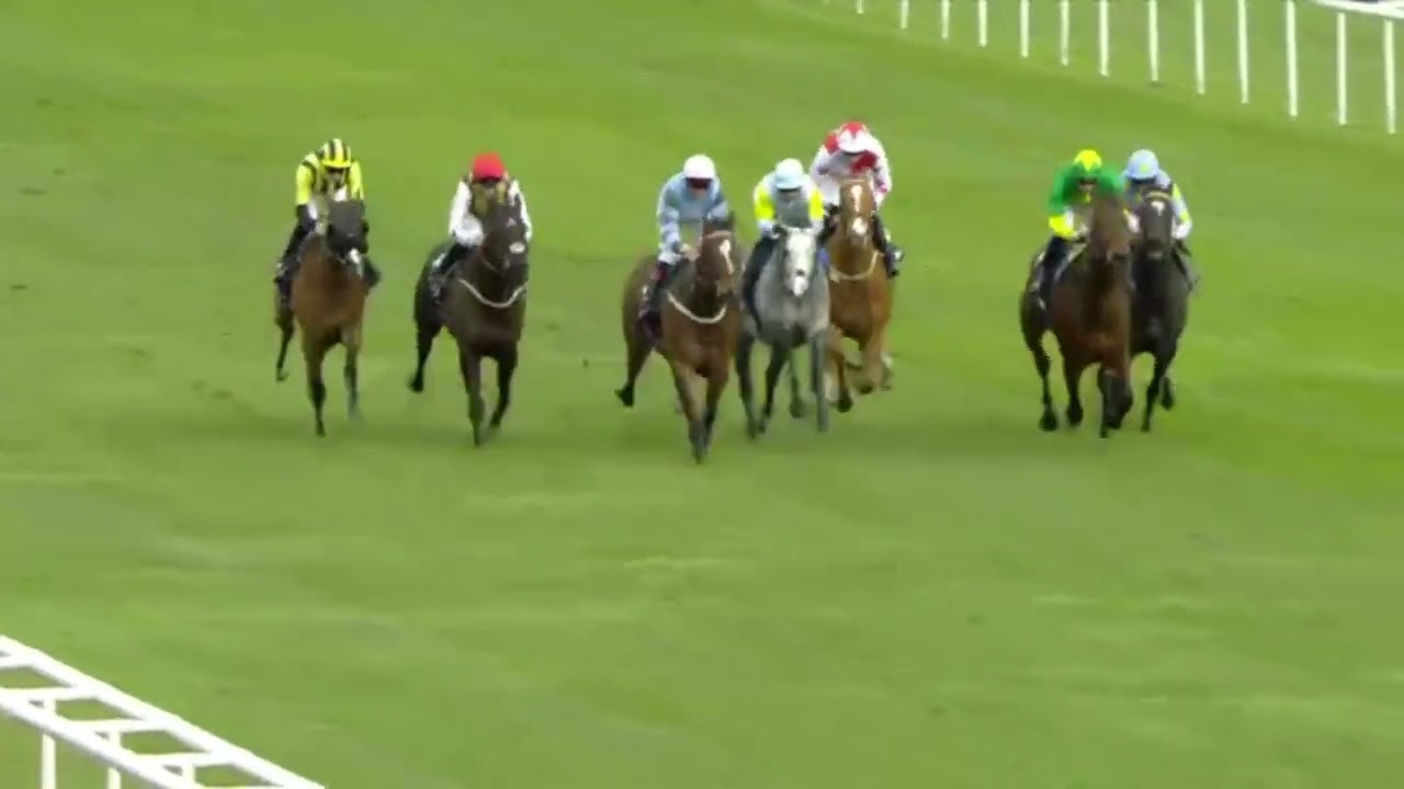 (CHARYN)(Listed)William Hill Doncaster Mile Stakes 1 Race