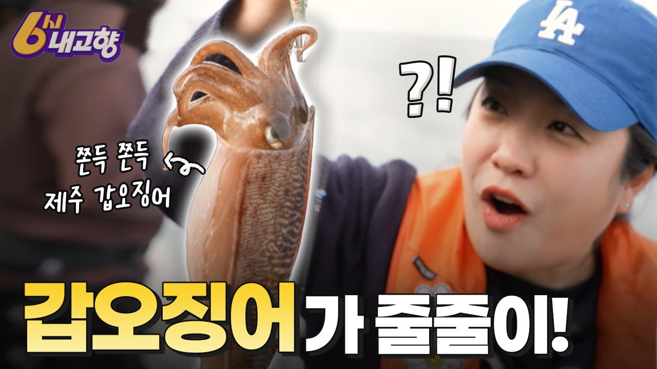 제주에 두 명 뿐, 여자 선장님과 갑오징어 | 6시내고향 | KBS제주 260318 방송