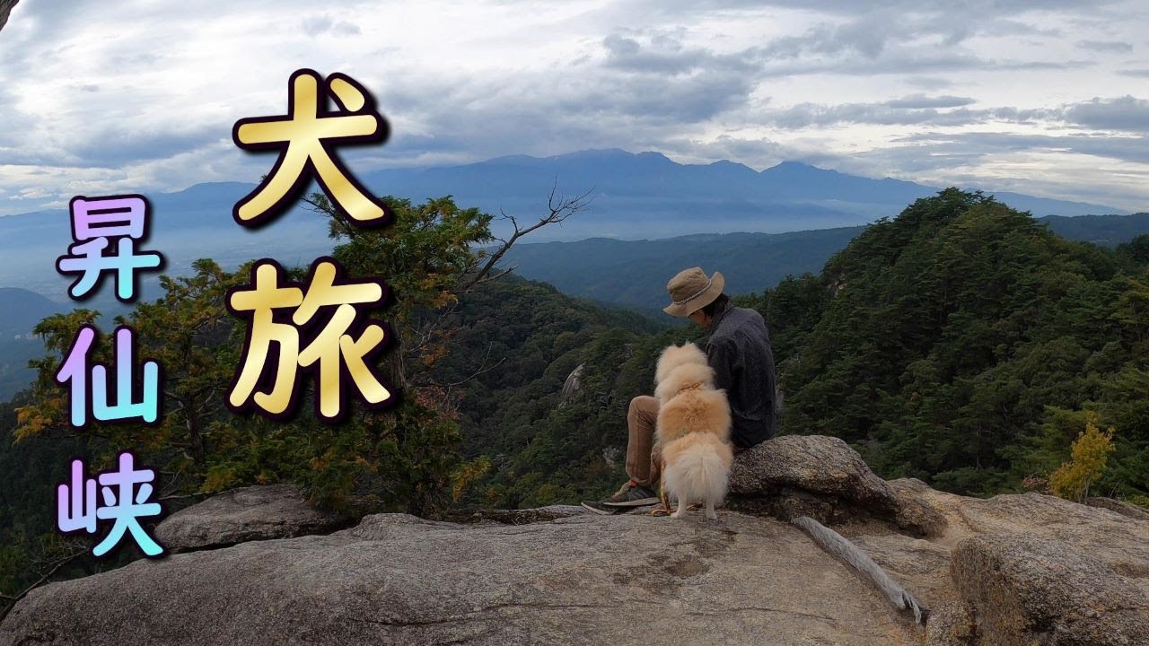 【犬連れ観光】ポメのムツオと山梨県甲府の景勝地、昇仙峡を観光。ペットバスに乗り、ロープウェイに乗り、山に登る。ペットOKなお食事処に茶屋。。意外とドッグフレンドリーだった、日本三大渓谷美。【甲府編、