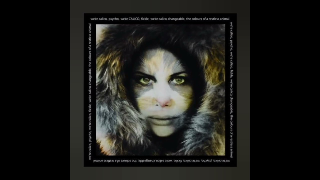 Melody Klyman - Calico (Dead Errant Soul Remix)