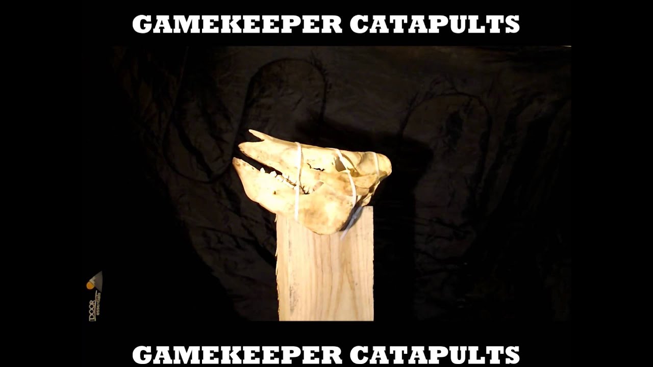 SLINGSHOT Vs PIG SKULL !!! catapult impact destruction shooting video