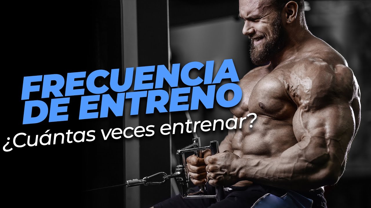 ¿Con qué FRECUENCIA debes ENTRENAR cada MÚSCULO? Frecuencia 1, 2, 3… 🤔💪