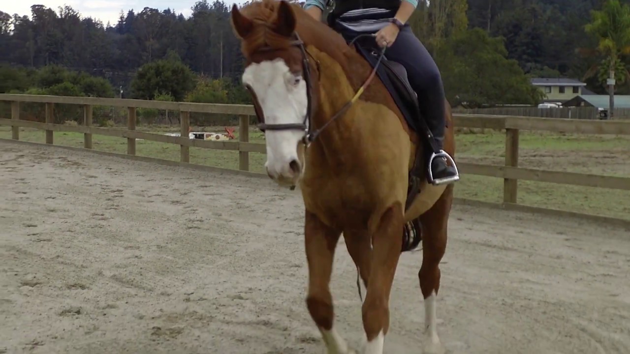 Soloshot 3- Test: riding less than 10' from camera/base (11/15/2017)
