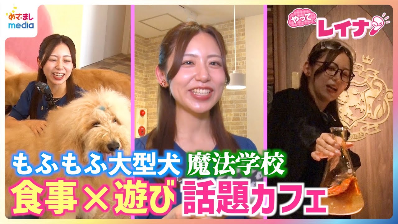 小山内鈴奈アナが"知らない誰か"と秘密の文通で涙！？魔法学校に没入＆サモエドとふれあいながらビュッフェ満喫！食事×遊びが一石二鳥で楽しめる話題のカフェを体験リポート【やってレイナ！】