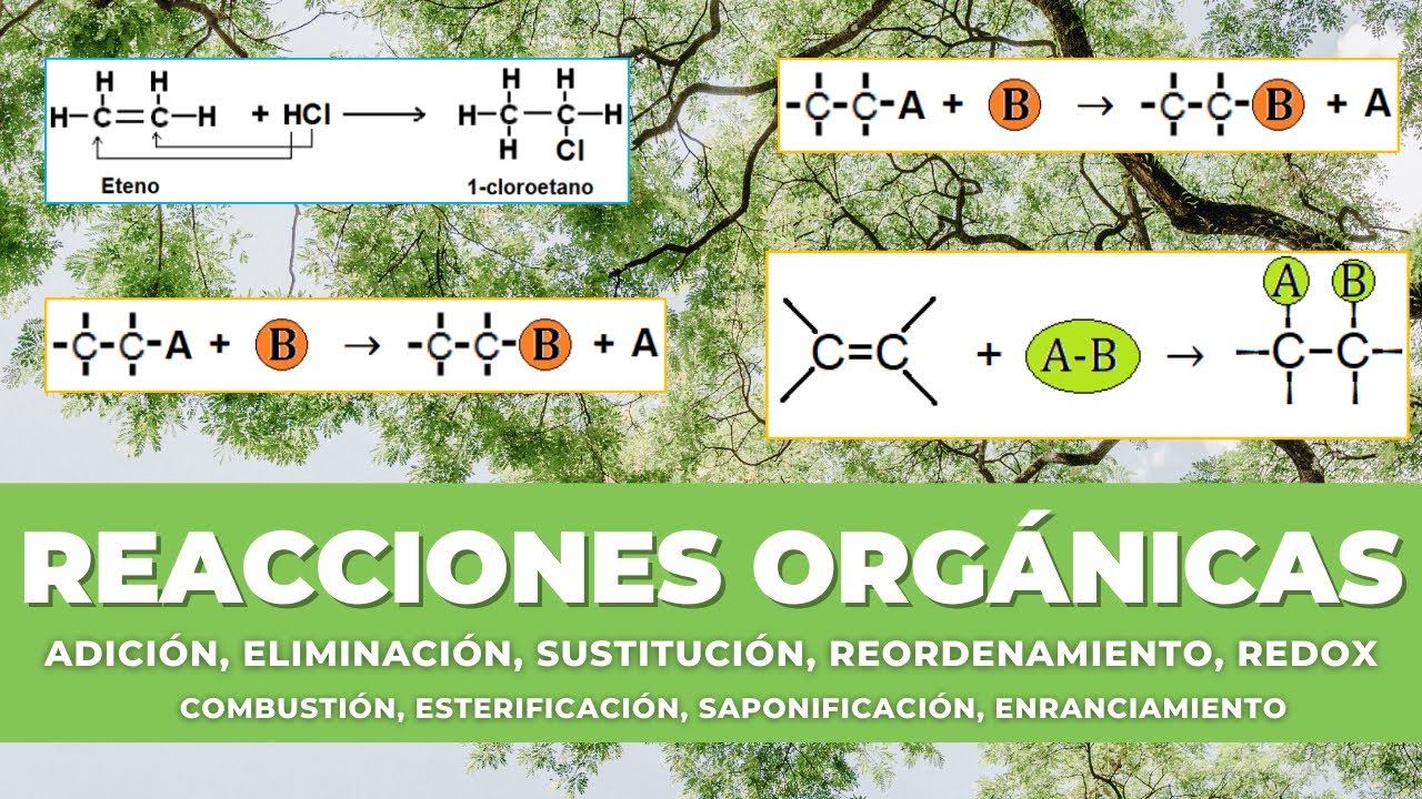 💥 TIPOS DE REACCIONES | Química Orgánica | ⚠️ FACIL y Rápido⚠️ 🔥