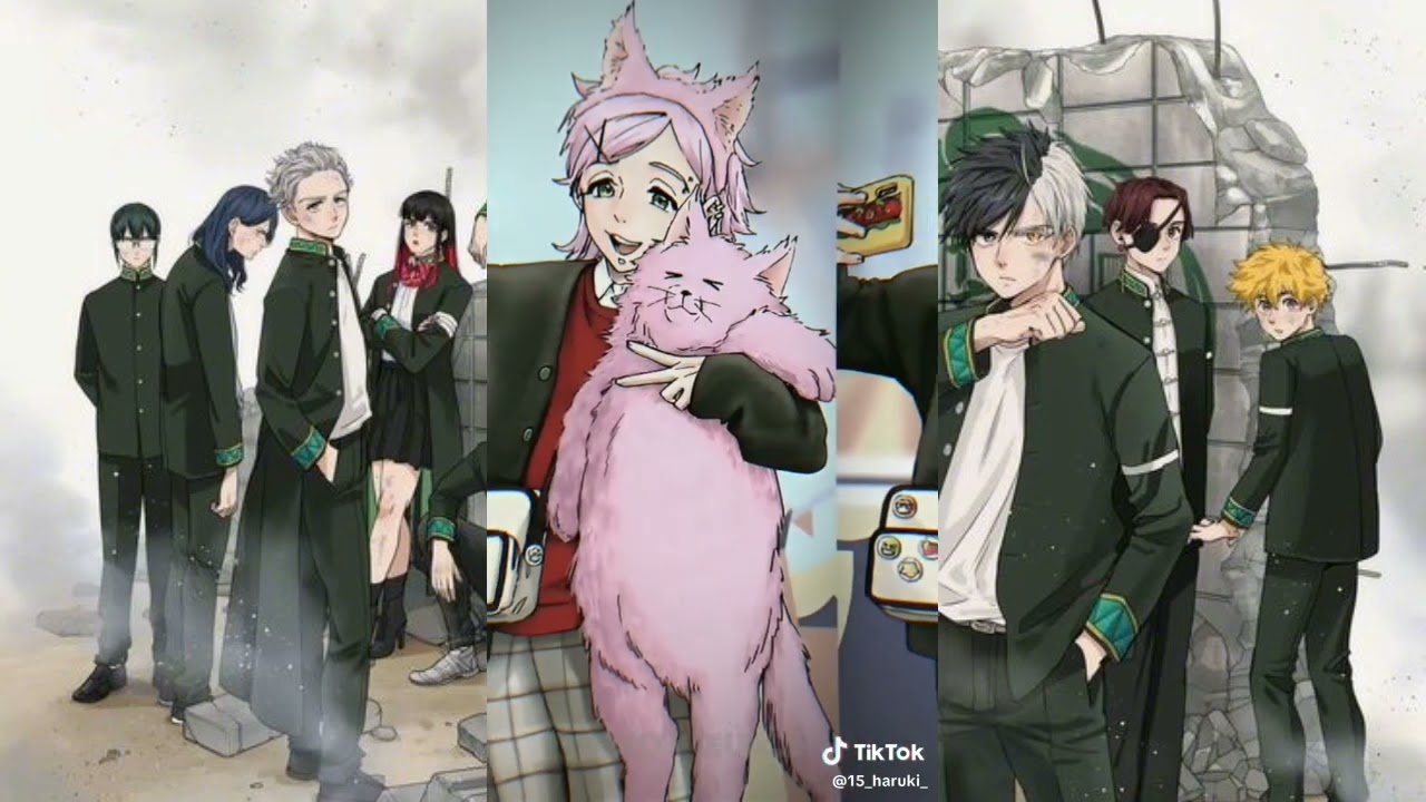 Tổng hợp// Wind breaker//Tiktok//#8//