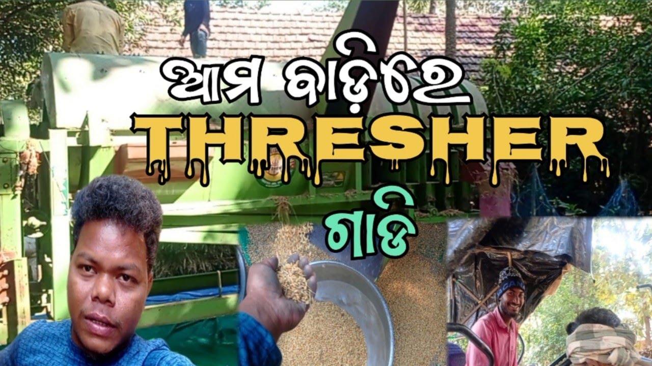 ଆମ ବାଡ଼ିରେ Thresher ଗାଡି।। କଣ୍ଟାଗାଡ଼ି thresher।। କାମ ଖତମ 😱😁
