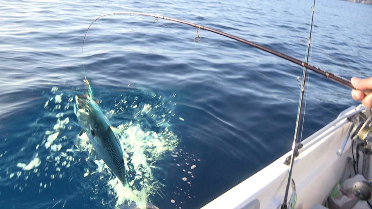 Pecanje na moru u Grčkoj - Dubinsko pecanje iz čamca i pecanje na troling | Fishing in Greece