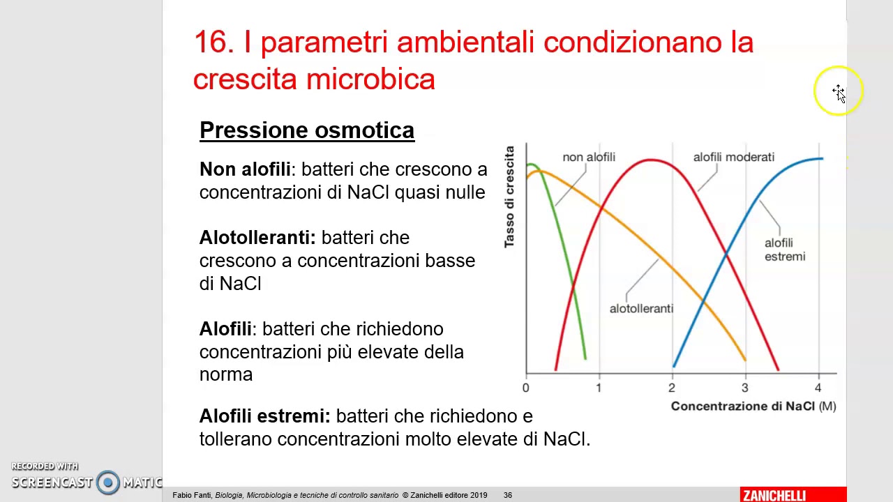 La crescita microbica Umidità Pressione osmotica Ossigeno
