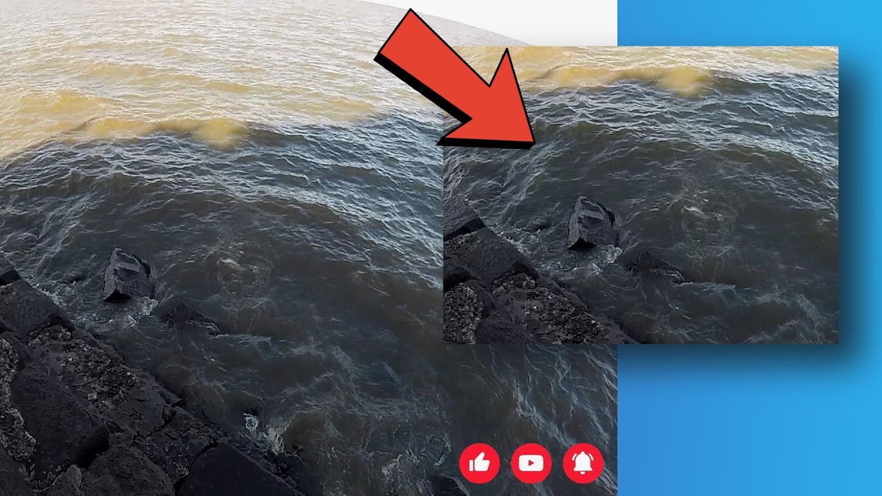 Terrible Raya en El Espigon de Olivos , Pesca