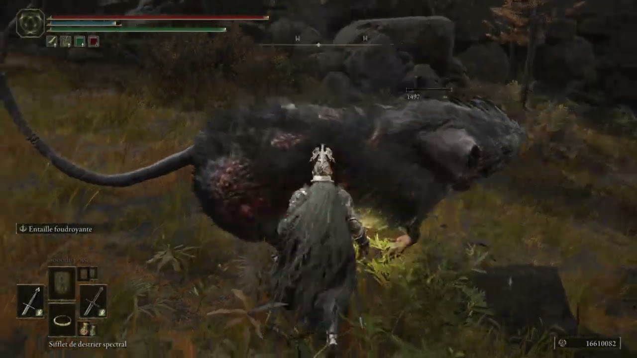 ELDEN RING™   22/01/2026