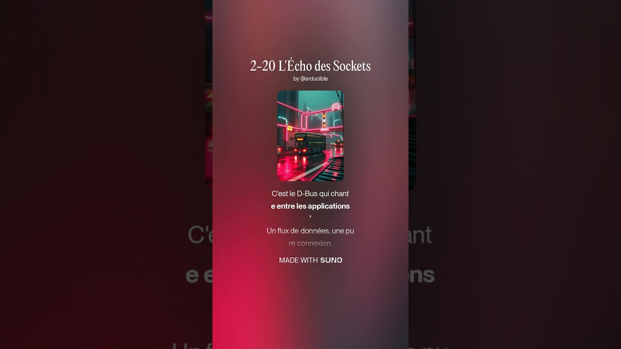 2 20 L'Écho des Sockets