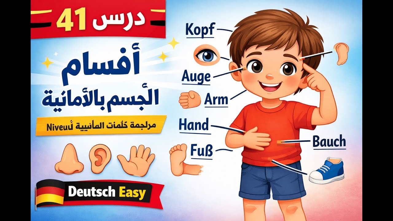 🔴🟡 درس 41🔵 أقسام الجسم بالألمانية🟢 مراجعة Niveau A1 🔵📚 Körperteile
