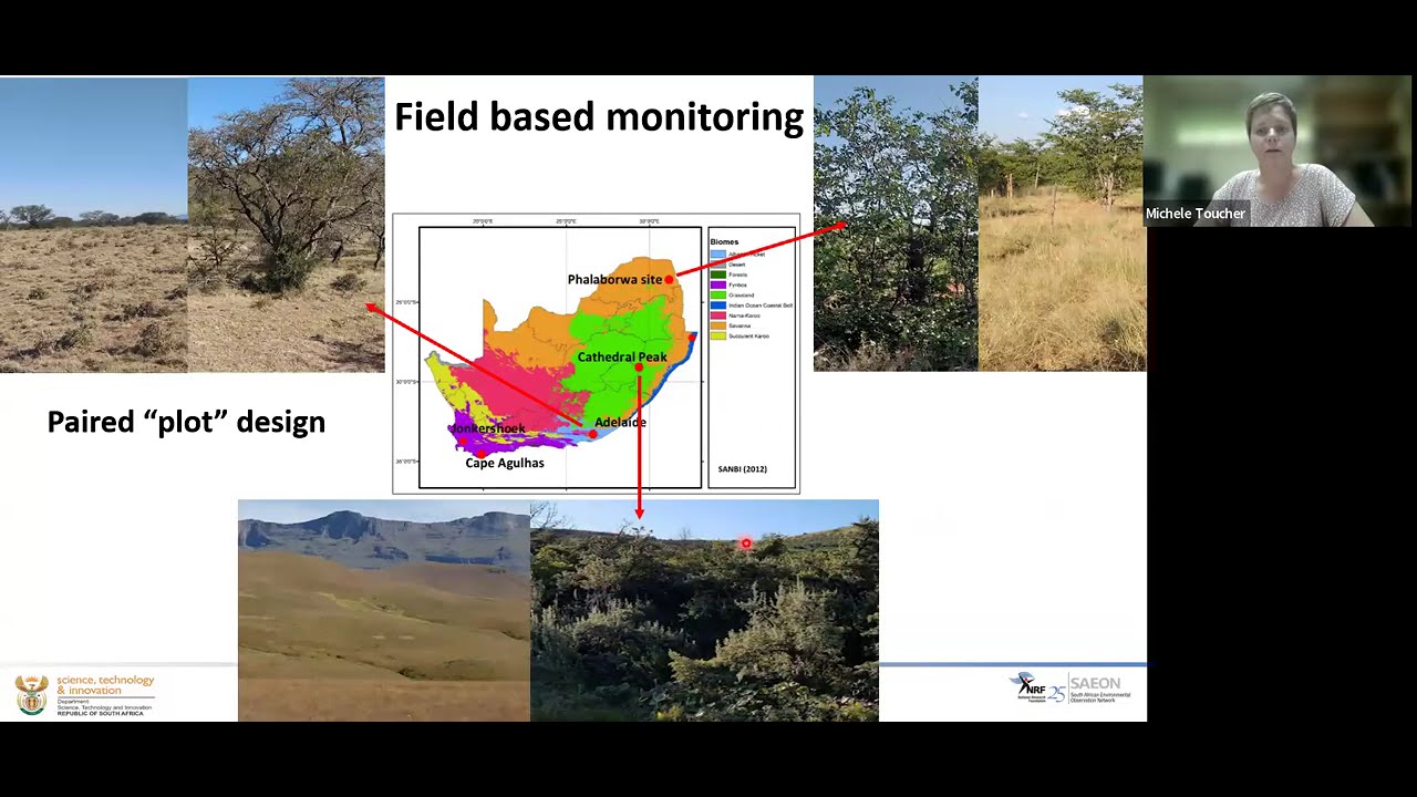 Expanding Woody Encroachment - Is it a Concern for Water Yield? (SAEON Seminar, March 2025)