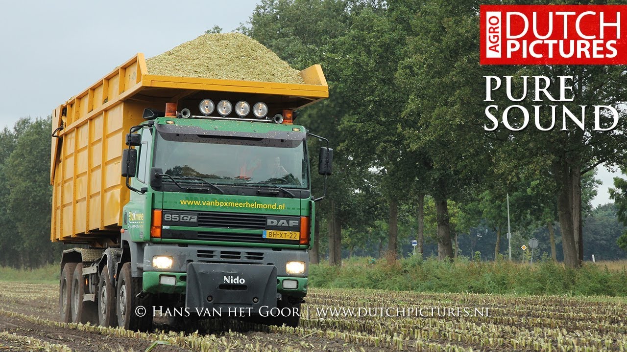Mais hakselen - New Holland FR700 + Silage truck, Loonbedrijf van Boxmeer - Maize silage - Fendt