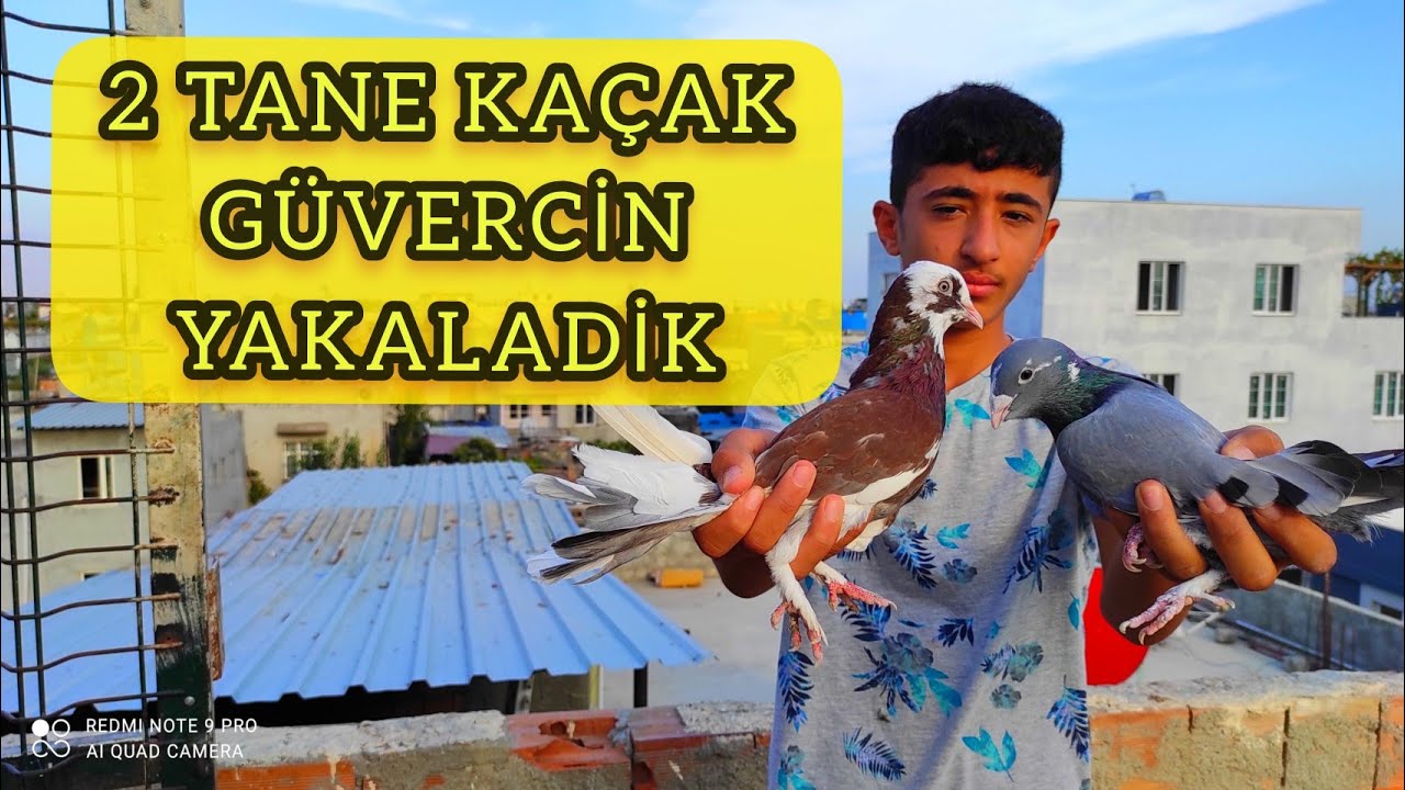 2 TANE KAÇAK YAKALADİK ( KÜÇÜK CMBAZ )