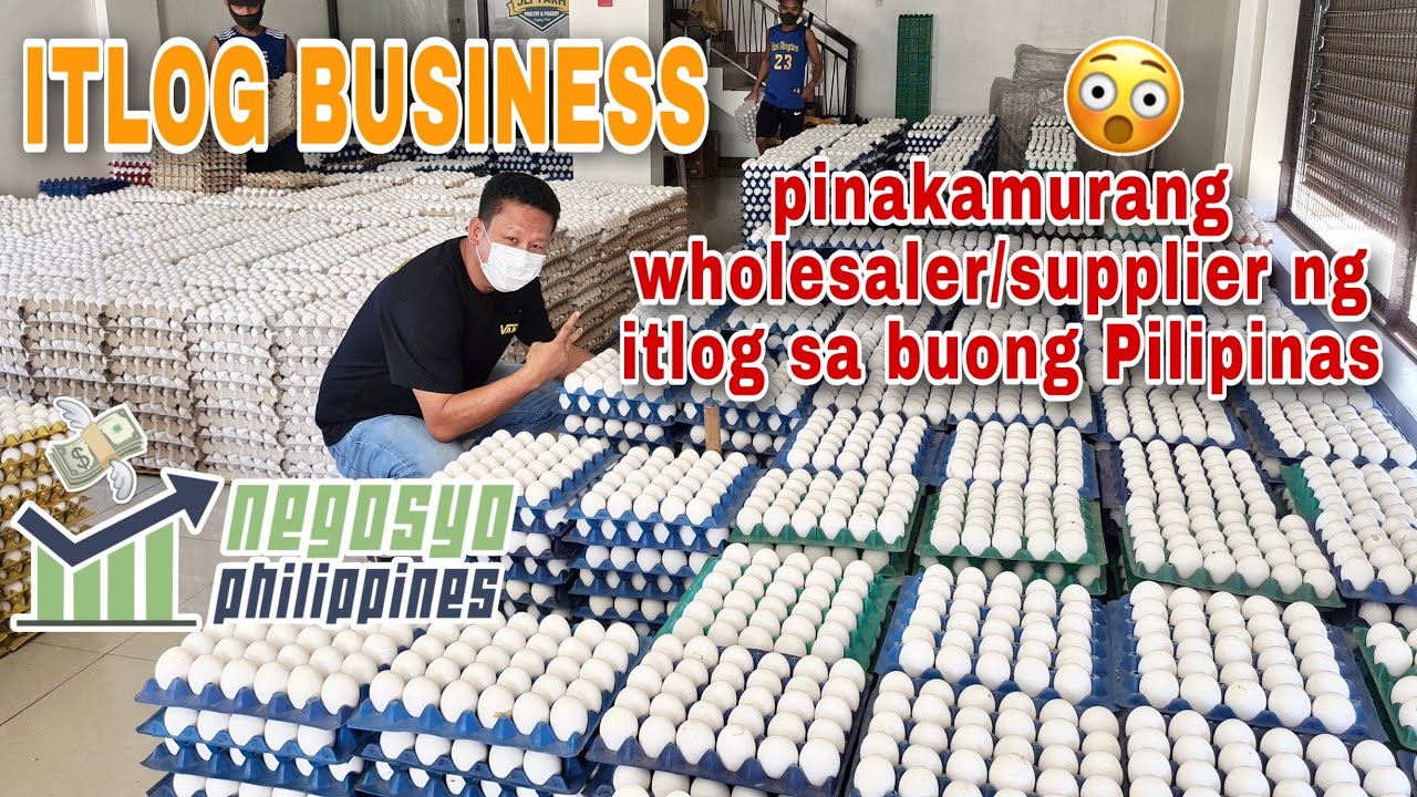 ITLOG BUSINESS (PINAKAMURANG WHOLESALER/SUPPLIER NG ITLOG SA BUONG PILIPINAS) | Negosyo Philippines