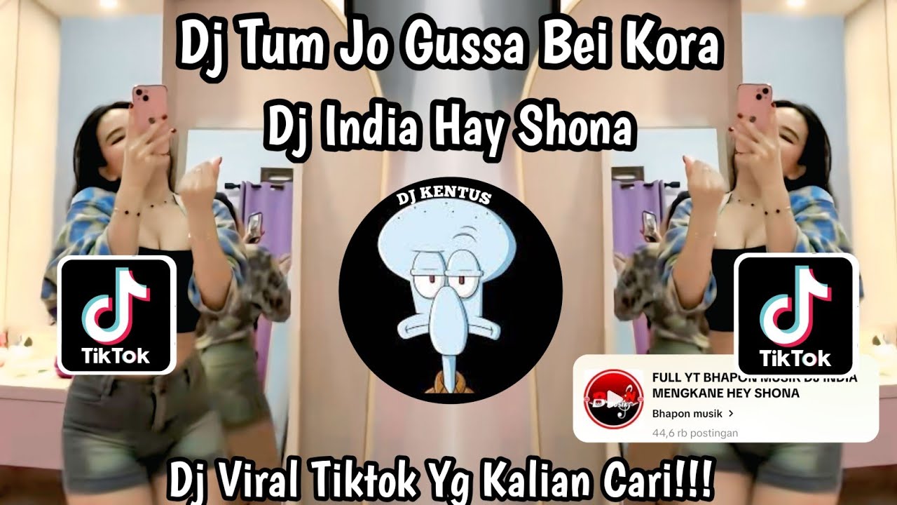DJ INDIA HEY SHONA || DJ TUM JO GUSSA BHI KARO || DJ VIRAL TIKTOK YANG KALIAN CARI...  