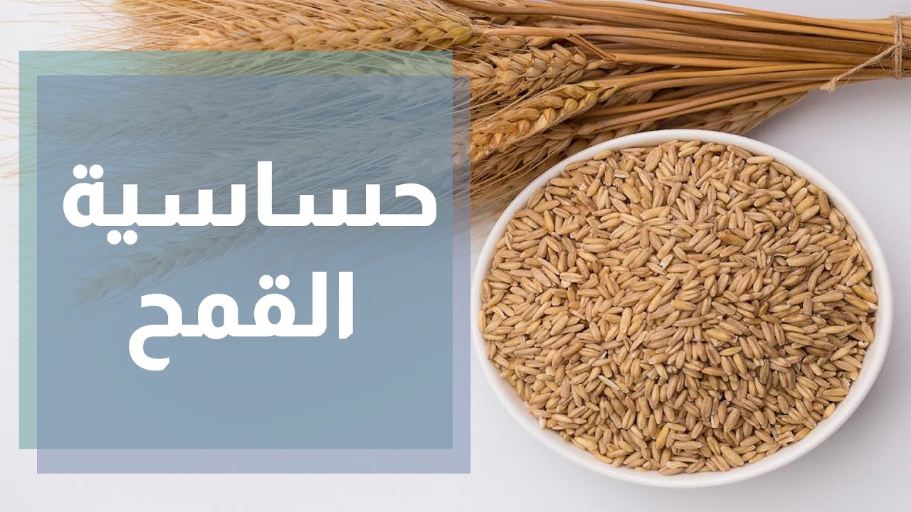 حساسية القمح - ربى مشربش