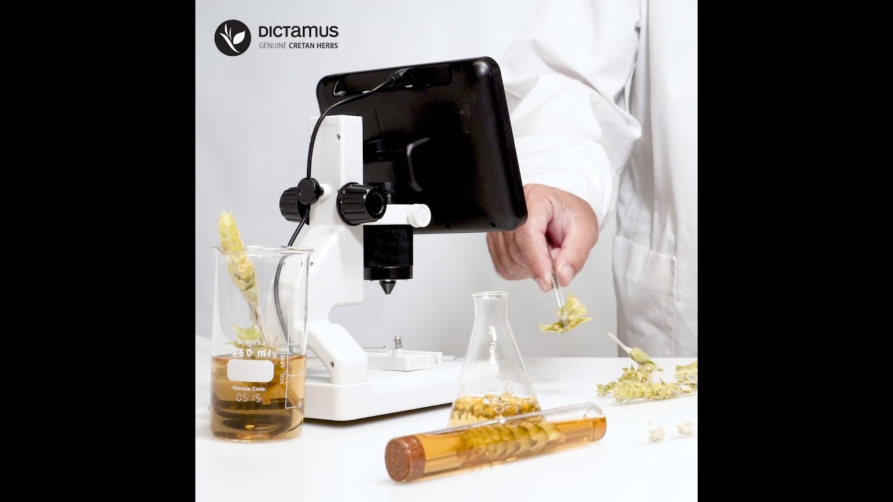 DICTAMUS  Genuine Cretan Herbs | &Beta;&Omicron;&Tau;&Alpha;&Nu;&Iota;&Kappa;&Eta; &Alpha;&Nu;&Alpha;&Gamma;&Nu;&Omega;&Rho;&Iota;&Sigma;&Eta;