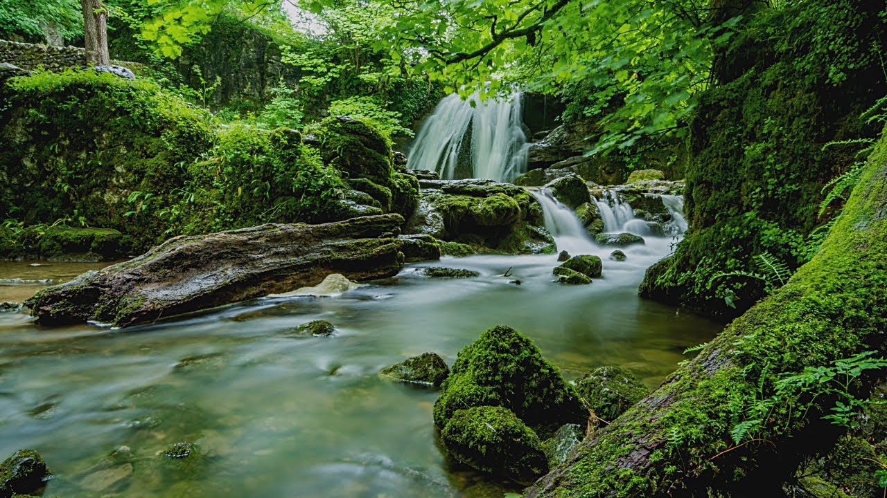 Beautiful relaxing Music, Calm piano Music with bird's singing UHK background Music